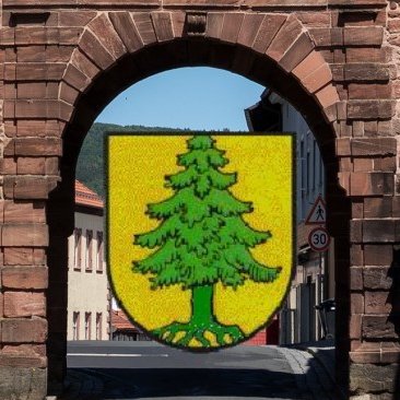 Eingang zur Stadt - Durchsicht durch das Tanner Stadttor Richtung Innenstadt mit Bild-Collage Stadtwappen