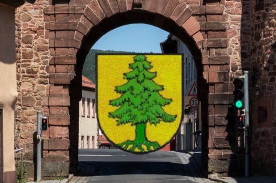 Eingang zur Stadt - Durchsicht durch das Tanner Stadttor Richtung Innenstadt mit Bild-Collage Stadtwappen