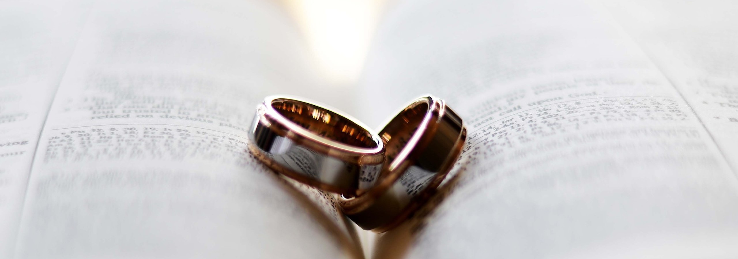 Panoramaschnitt von 2 Trauringen in einer Buchfalte für das Thema Eheschließungen