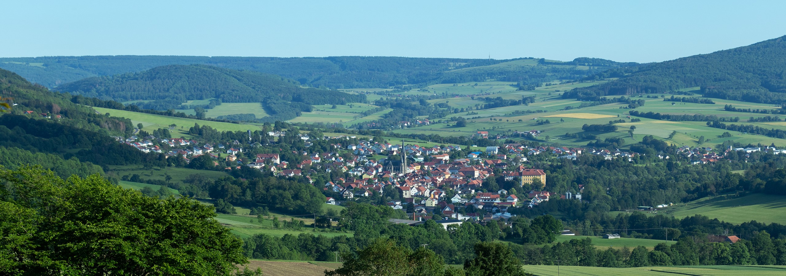 Grundstücke - Panoramaansicht der Stadt Tann im Tal Richtung Süden