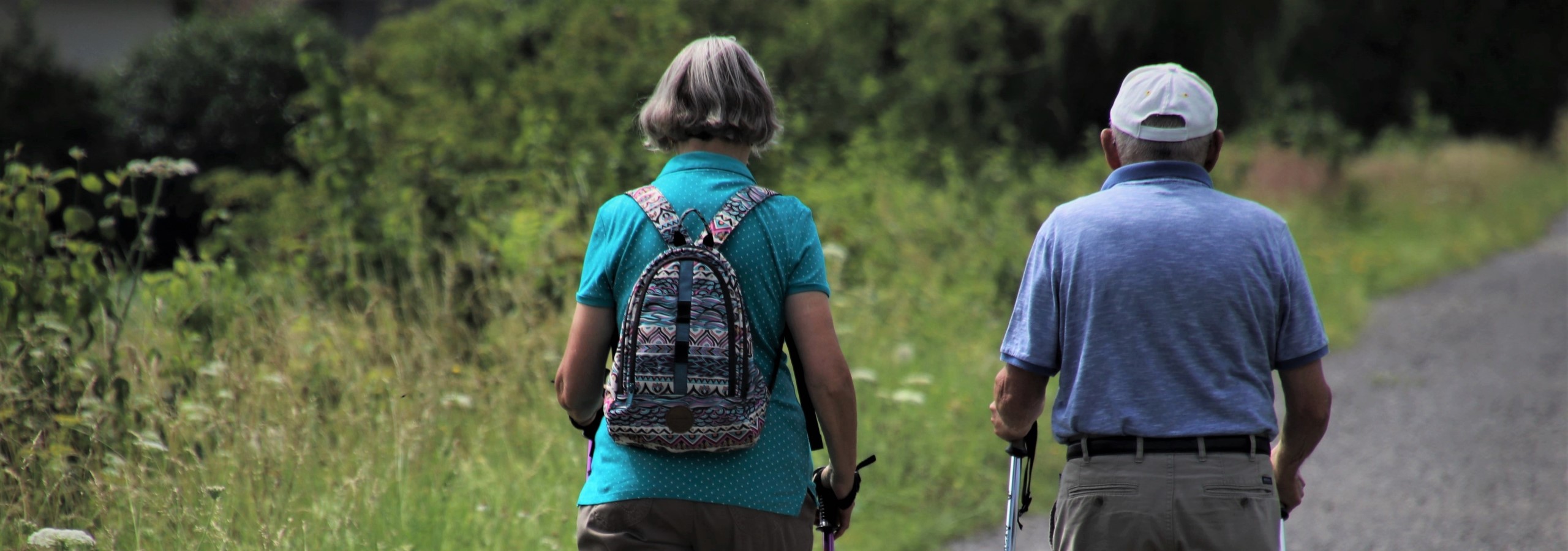 Senioren - Ehepaar beim Spaziergang durch die Natur - Panoramaschnitt