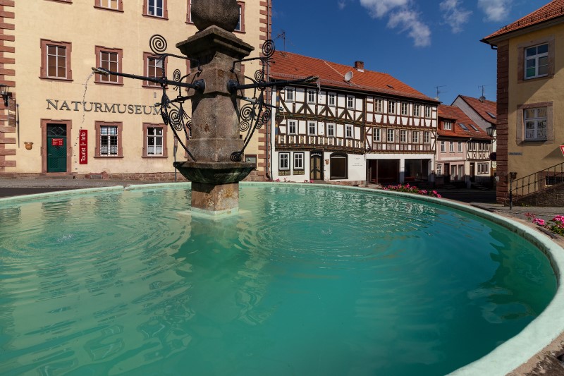 Tann - Stadtbrunnen auf dem Marktplatz, im Hintergrund das Elf-Apostel-Haus und das Naturmuseum