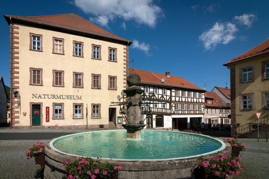 Stadtbrunnen mit Naturmuseum und Elf-Apostel-Haus