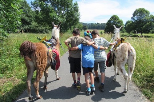 Kinder auf dem Weg mit den Rhön-Lamas